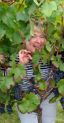 Petra Puhl, Weinerlebnisführerin